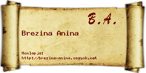 Brezina Anina névjegykártya